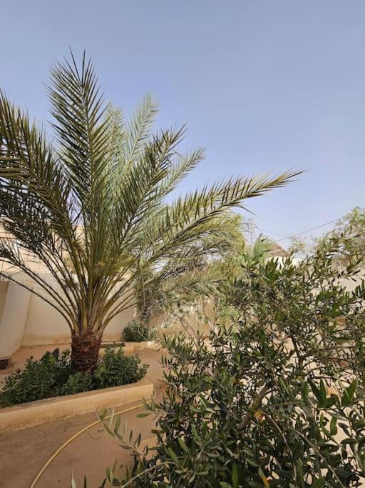 Hadhri Appartement Tauzar Zewnętrze zdjęcie
